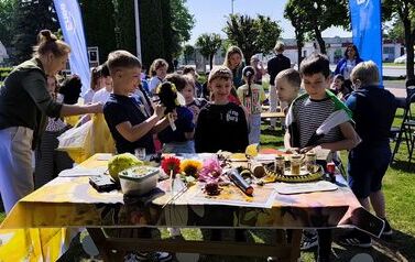 IMG_20260520_093328