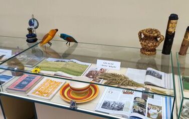 IMG_20260720_091621