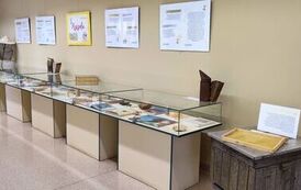 IMG_20260514_151333