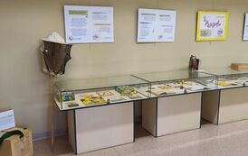 IMG_20260514_151247