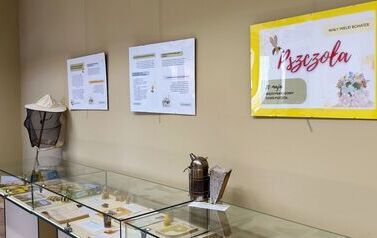 IMG_20260514_151310